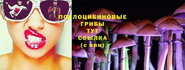 экстази Осинники