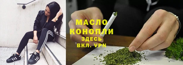 МДПВ Пересвет