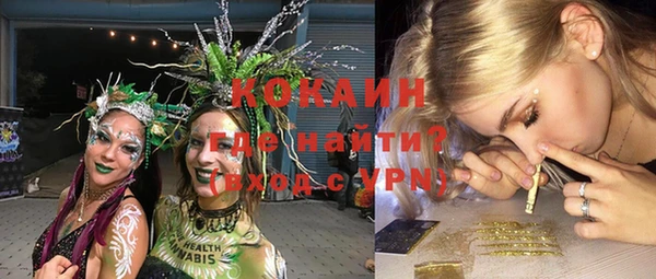 эйфоретик Щигры