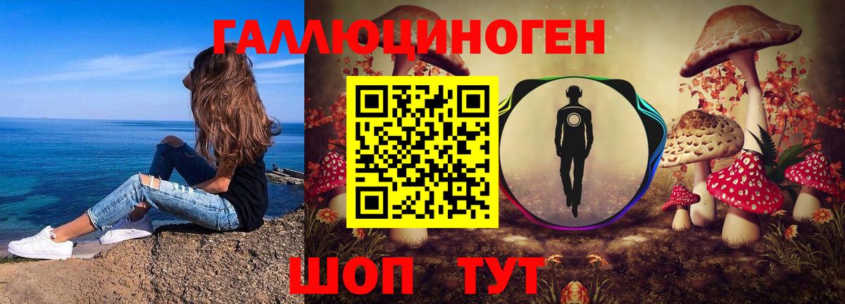Северодвинск  Галлюциногенные грибы Psilocybe  Вход с VPN 