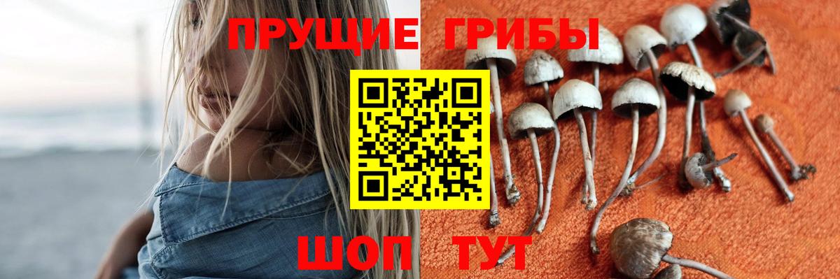 XTC  Вход с VPN  MDMA  CBD масло  Северодвинск  COCAIN  МАРИХУАНА  Гарик  Мяу-Мяу 